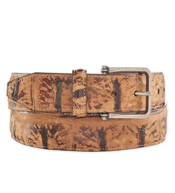 Martin Dingman Nile Croc Grain Belt- Belts