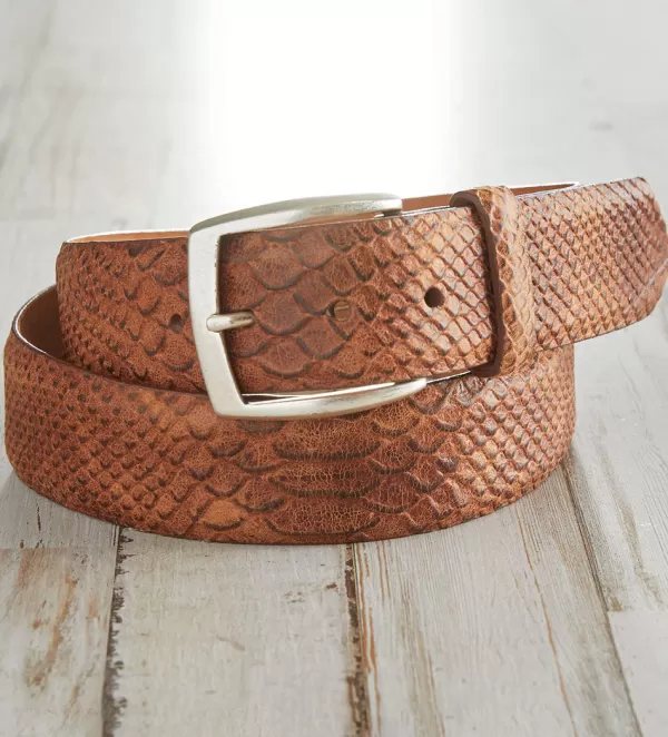 w.kleinberg Anaconda Belt- Belts