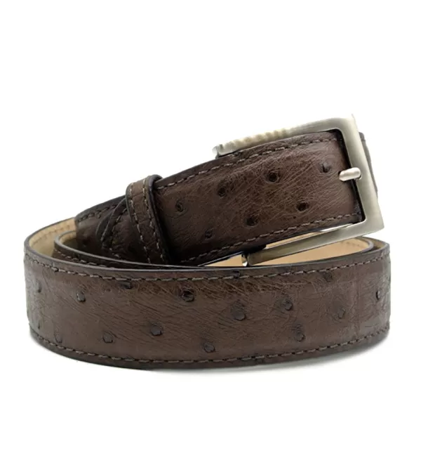 Zelli Genuine Ostrich Quill Belt- Belts